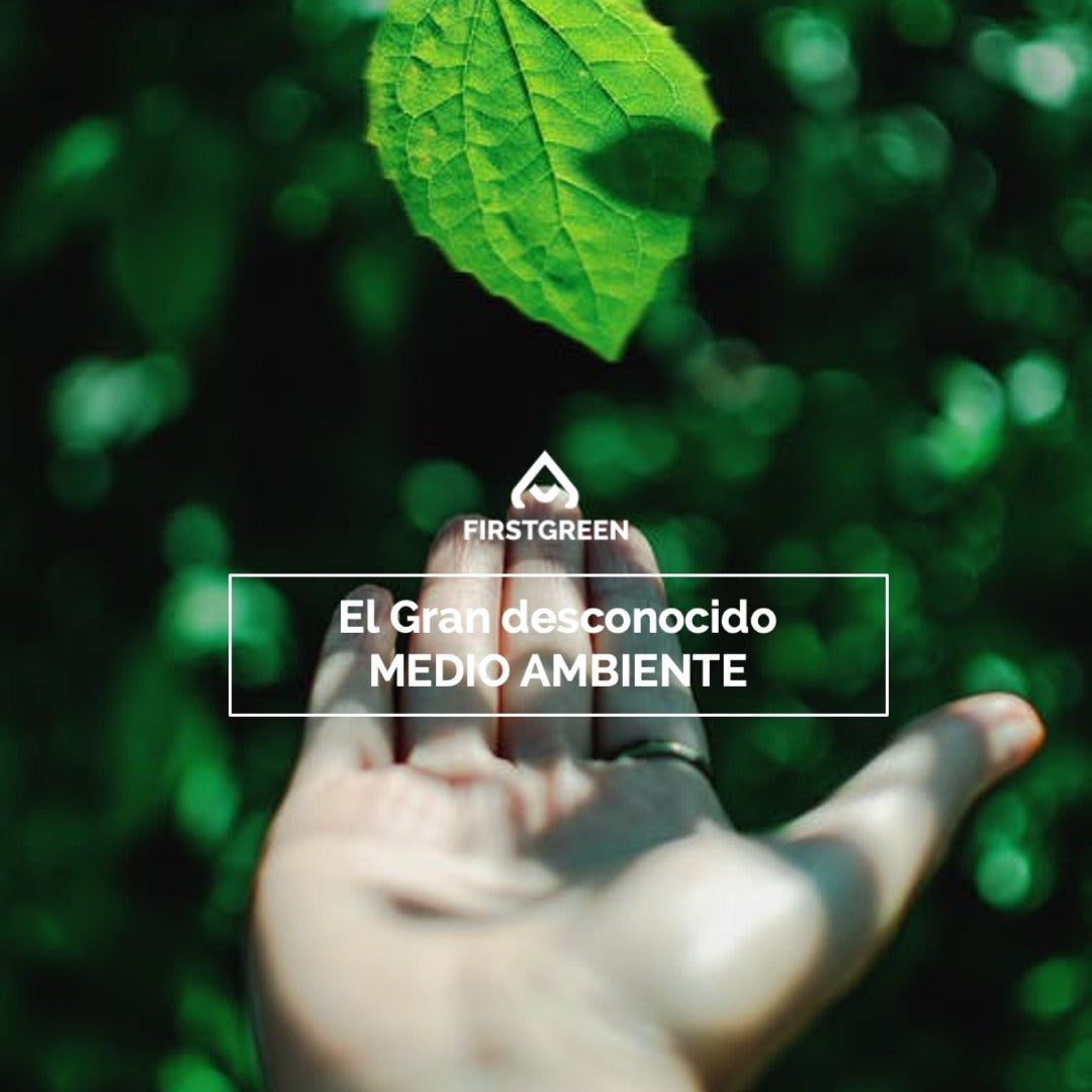 4 Términos y aclaraciones relacionados con el medio ambiente que debes conocer